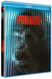 Primate - bd